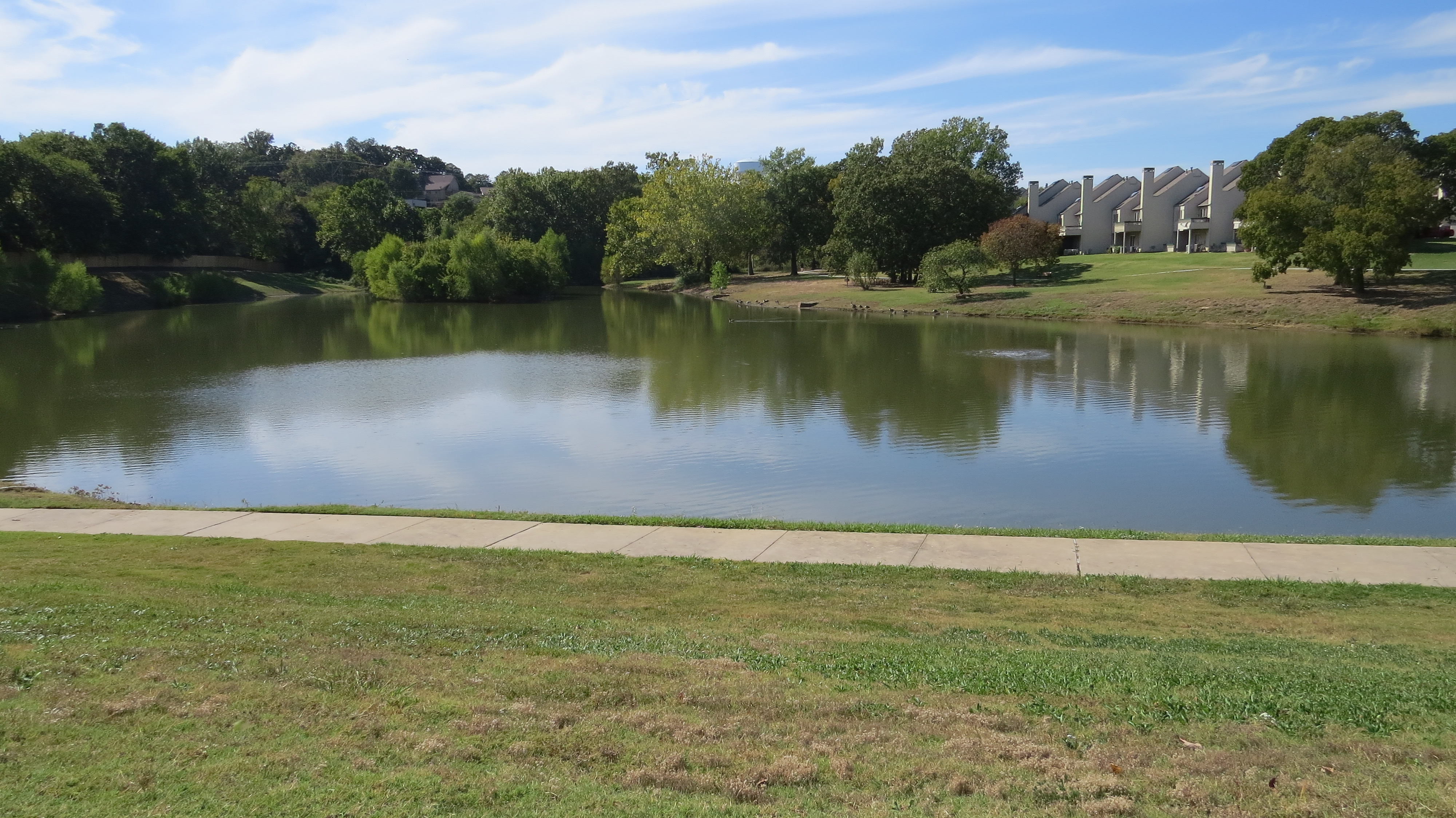 Image from Minshall Park taken on Thursday 16th of October 2025